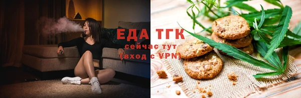 гидра Инта