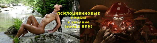COCAINE Каменск-Шахтинский