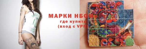 гидра Инта