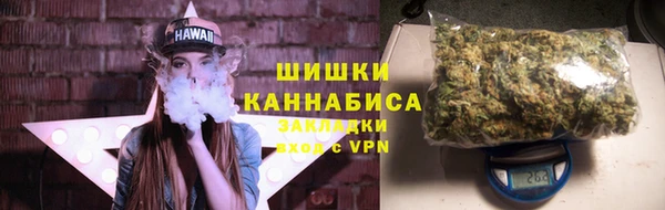 гидра Инта