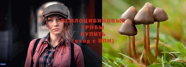 гидра Инта