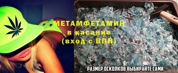 гидра Инта