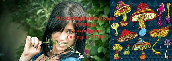кокс Иннополис