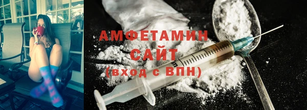 гидра Инта