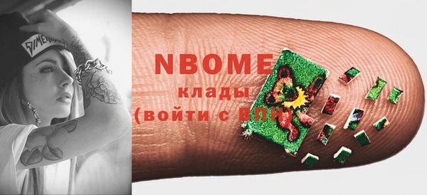 гидра Инта