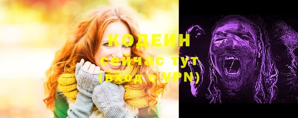 эйфоретик Каменка